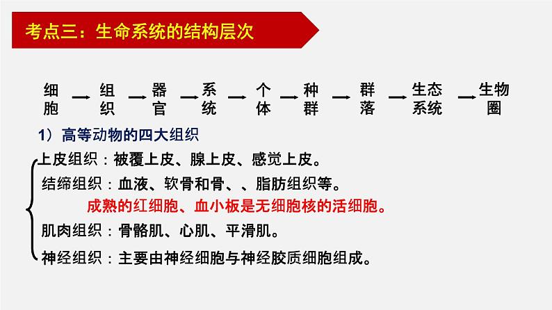 高考生物二轮复习课件专题01 细胞的分子组成第7页