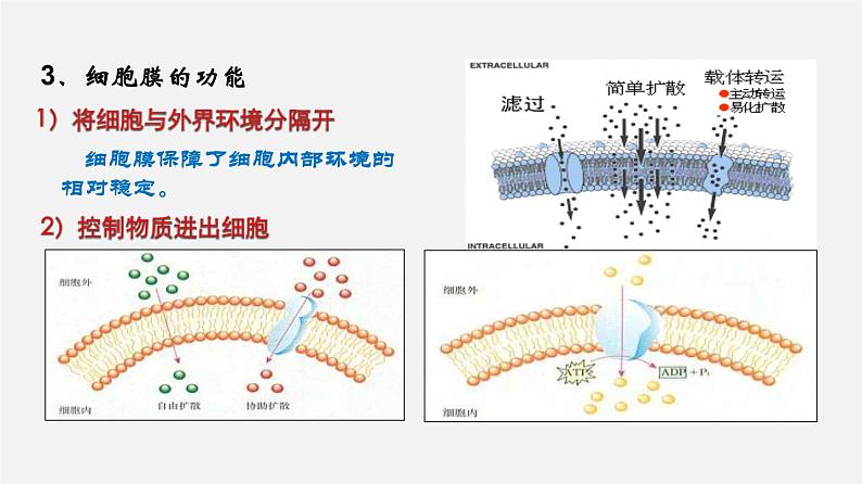 高考生物二轮复习课件专题02 细胞的结构和功能05