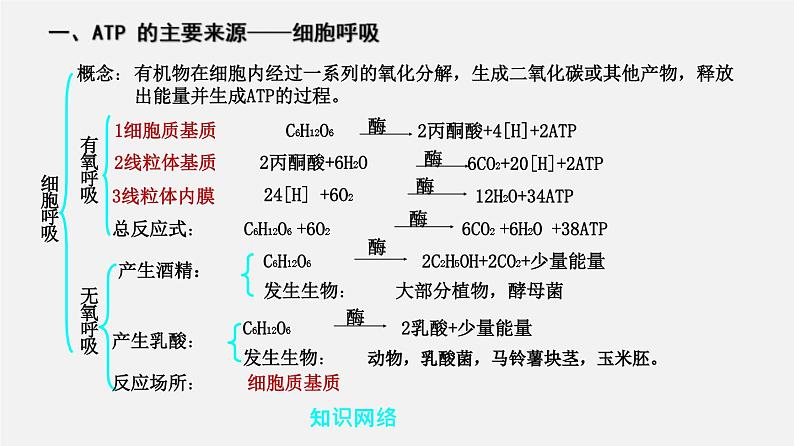 高考生物二轮复习课件专题06 光合作用和细胞呼吸第2页