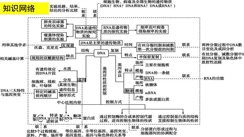 高考生物二轮复习课件专题11 遗传的分子基础第3页