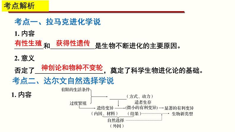 高考生物二轮复习课件专题13 生物的进化第4页