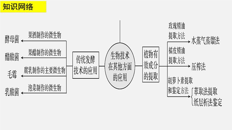 高考生物二轮复习课件专题21 生物技术的其它应用第3页