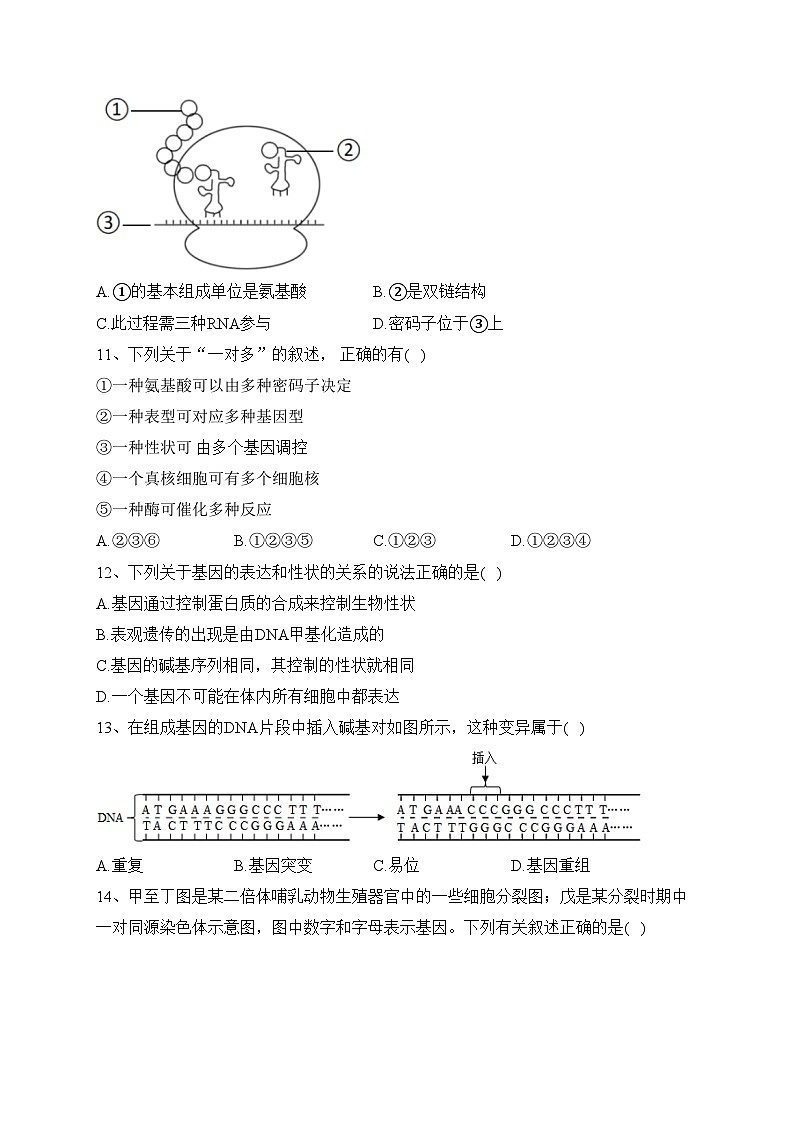 河北省张家口市张北县2021-2022学年高一下学期6月月考生物试卷（含答案）第3页