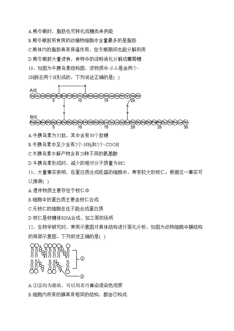 攀枝花市成都外国语学校2021-2022学年高二下学期6月月考生物试卷（含答案）第3页
