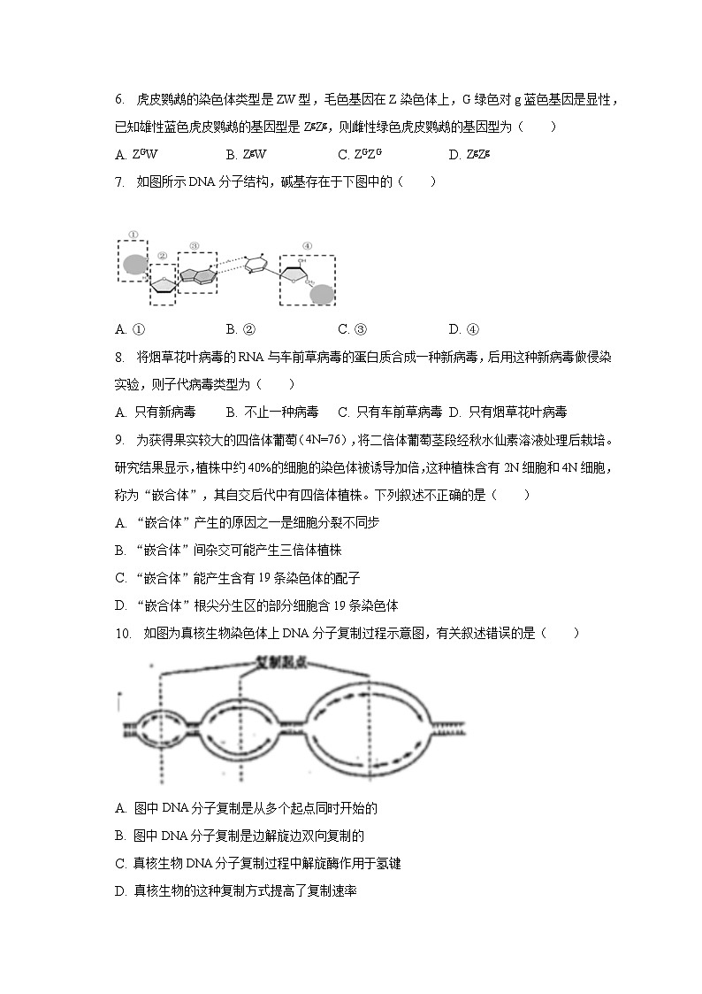 2022-2023学年湖北省武汉市洪山区西藏中学高一（下）期末生物试卷（含解析）02
