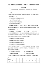 2023届湖北省武汉市新洲区一中高三5月第四次适应性训练生物试题（含解析）