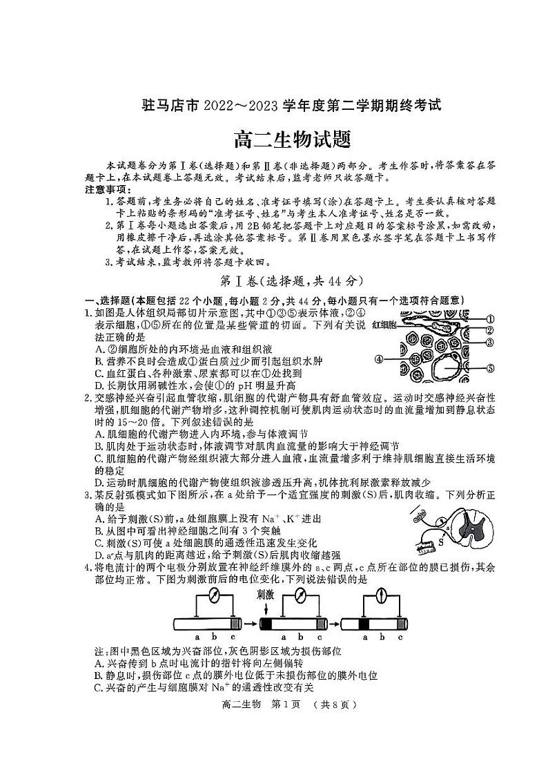 河南省驻马店市2022-2023学年高二下学期期末生物试题（含答案）01