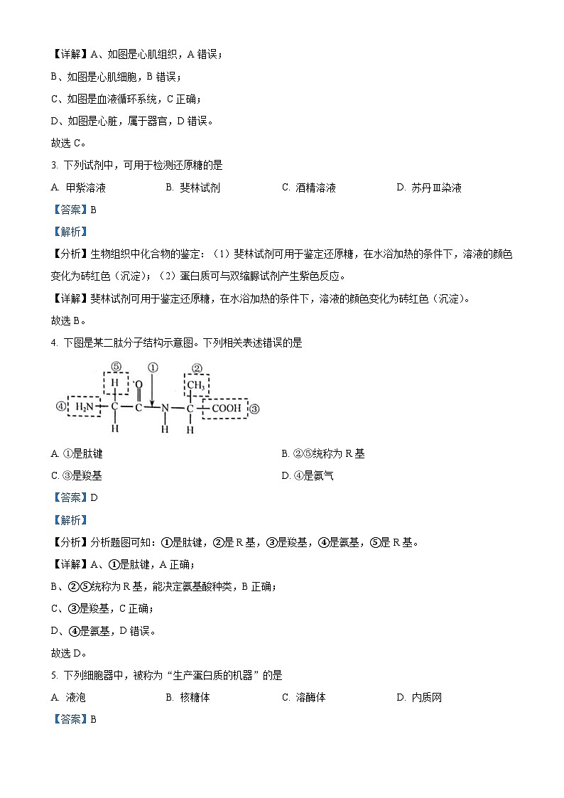 2021年5月河北省普通高中学业水平合格性考试生物试题（含解析）02