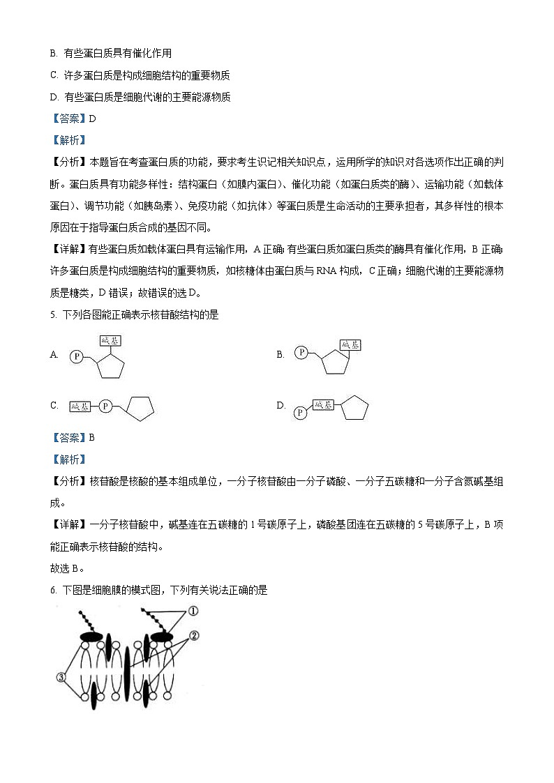 江苏省徐州市2021-2022学年高二合格性模拟考试生物试题（含解析）03