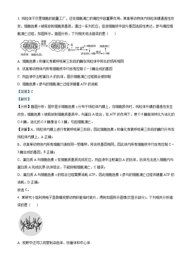 山东省2021-2022学年高三学业水平等级考试模拟生物试题（含解析）03