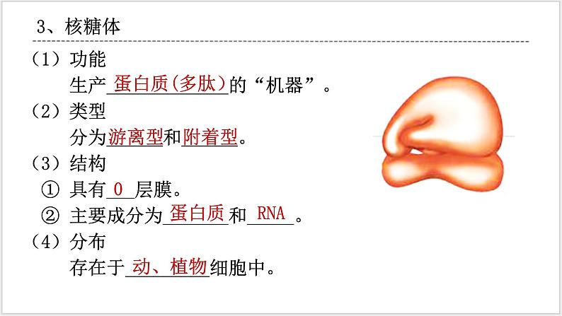 人教版2019必修一高中生物学3.2《细胞器之间的分工合作》课件+同步分层练习08