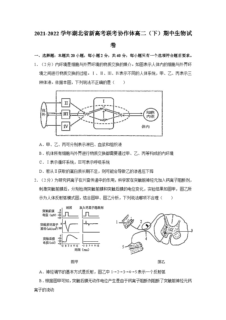 2021-2022学年湖北省新高考联考协作体高二（下）期中生物试卷（含答案）01