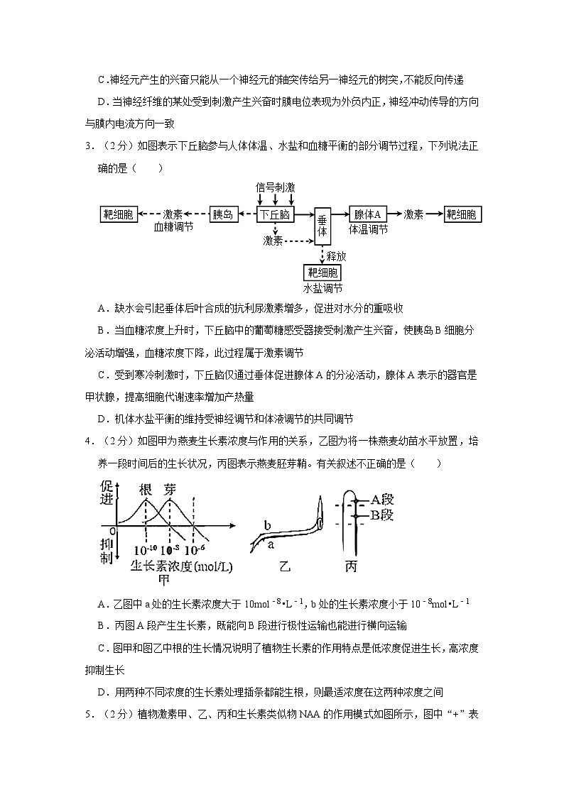 2021-2022学年湖北省新高考联考协作体高二（下）期中生物试卷（含答案）02