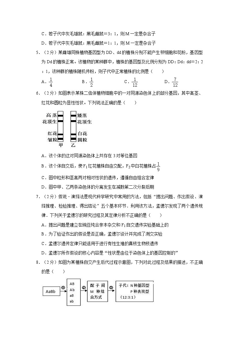 2021-2022学年福建省厦门一中高一（下）期中生物试卷（含答案）02