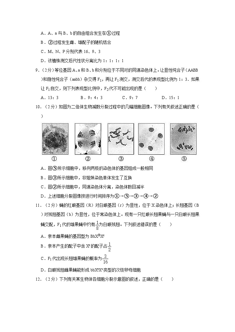 2021-2022学年福建省厦门一中高一（下）期中生物试卷（含答案）03