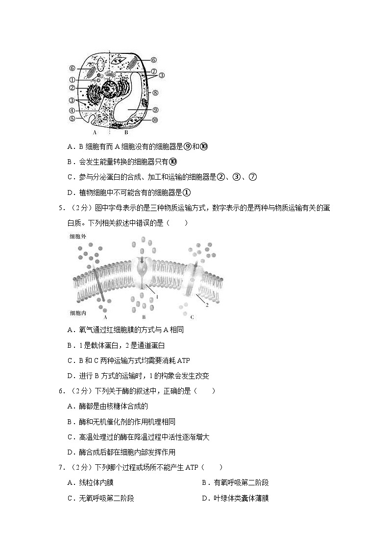 2021-2022学年湖南省长沙市天心区长郡中学高一（下）期中生物试卷（含答案）02
