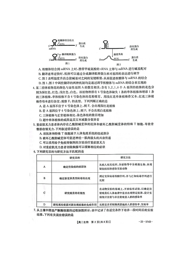 湖北省恩施州教育联盟2022-2023高二下学期期末考试 生物试题及答案02
