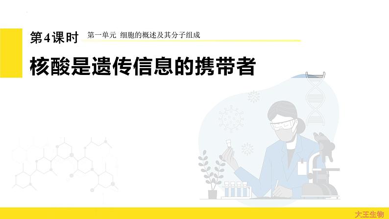 2.5 核酸是遗传信息的携带者  课件 2024届高三生物（人教版2019）一轮复习第1页