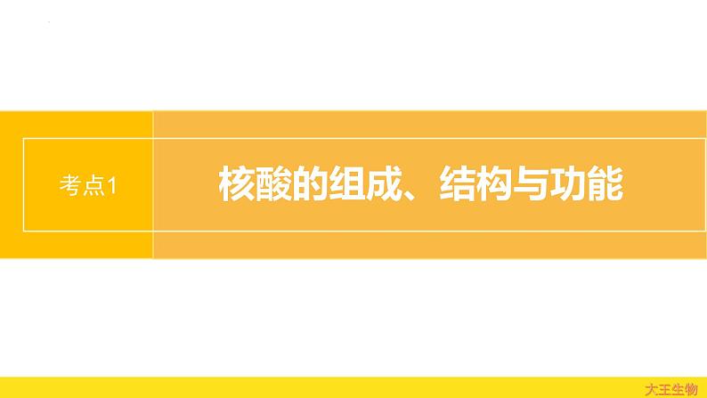 2.5 核酸是遗传信息的携带者  课件 2024届高三生物（人教版2019）一轮复习第2页