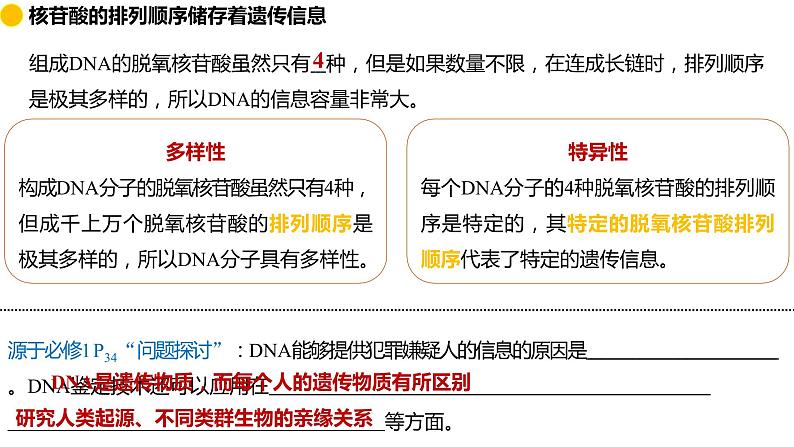 2.5 核酸是遗传信息的携带者  课件 2024届高三生物（人教版2019）一轮复习第7页