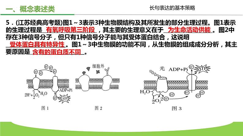 2023届高三生物二轮复习课件长句表达的基本策略05