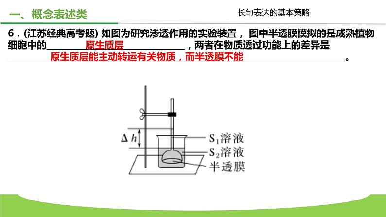 2023届高三生物二轮复习课件长句表达的基本策略06