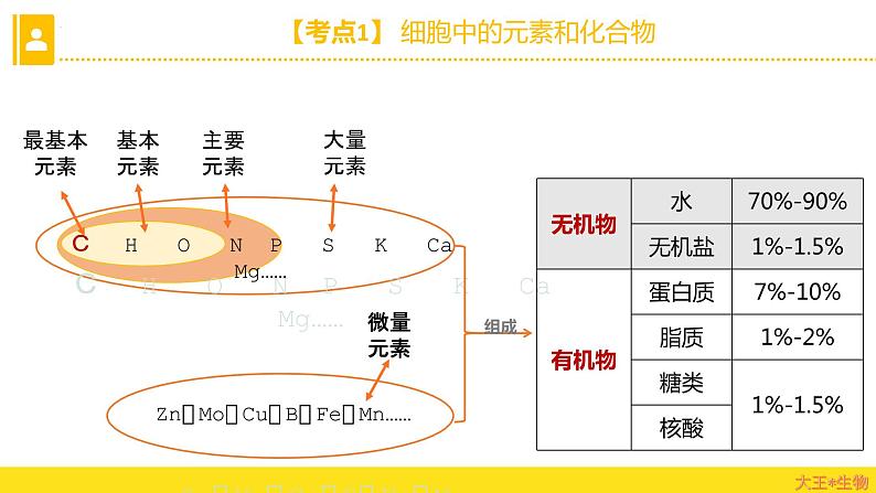 2024届高三生物一轮复习课件组成细胞的分子（纯知识）02