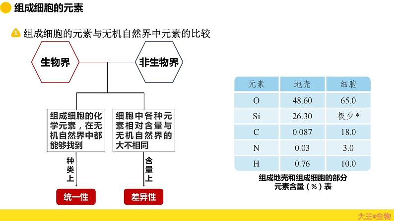 2024届高三生物一轮复习课件组成细胞的分子（纯知识）03