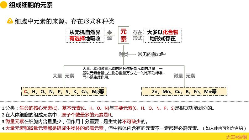 2024届高三生物一轮复习课件组成细胞的分子（纯知识）04