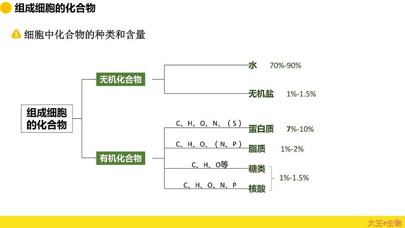 2024届高三生物一轮复习课件组成细胞的分子（纯知识）07