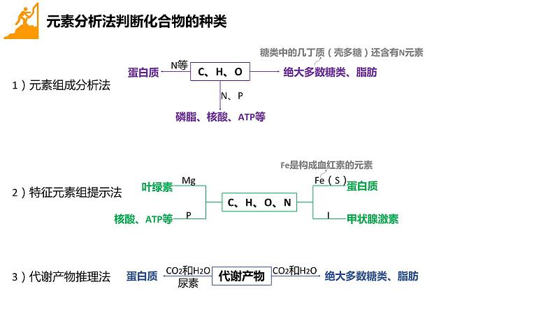 2024届高三生物一轮复习课件组成细胞的分子（纯知识）08