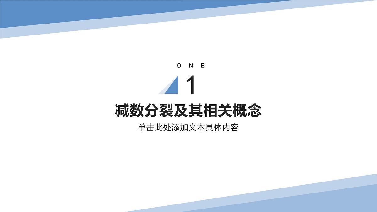 2024届高三生物一轮复习课件第四单元减数分裂和受精作用第3页