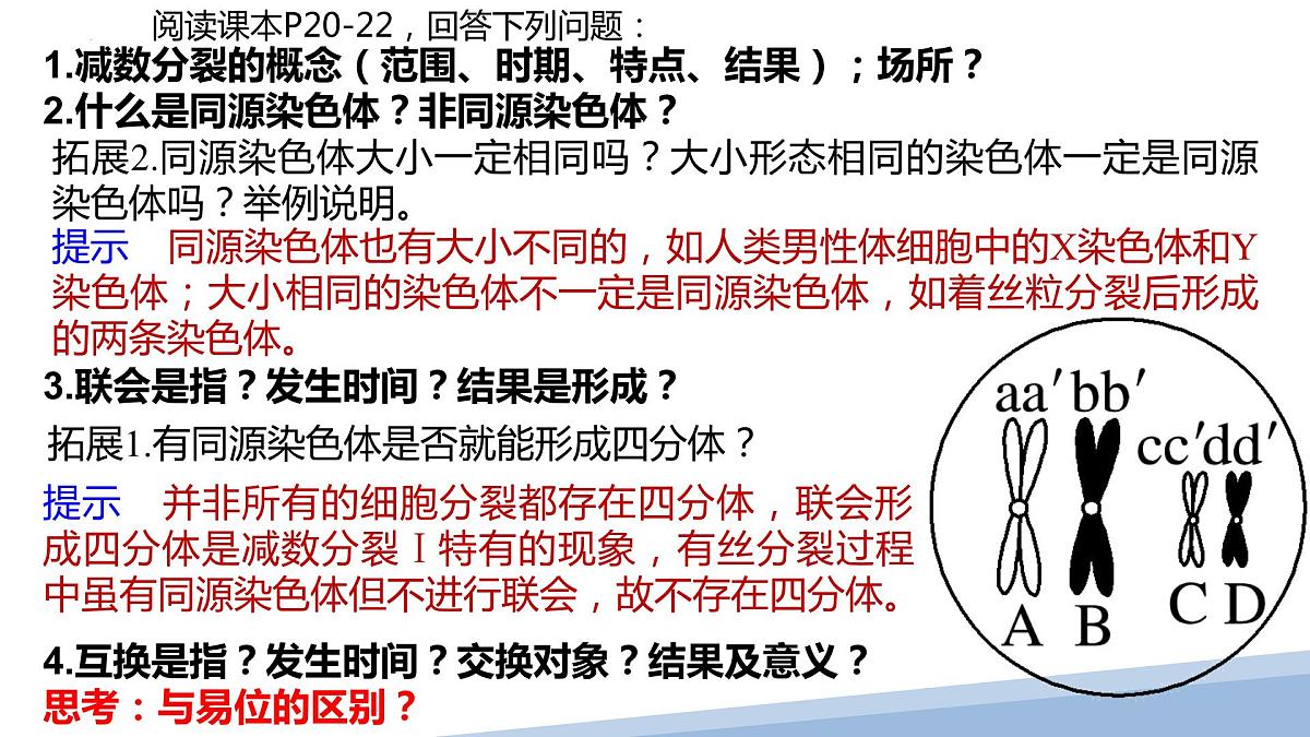 2024届高三生物一轮复习课件第四单元减数分裂和受精作用第4页