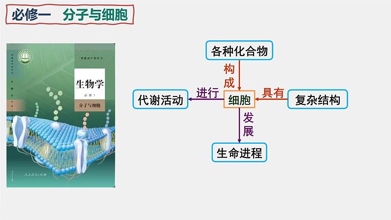 2024届高三一轮生物复习课件走近细胞第1页