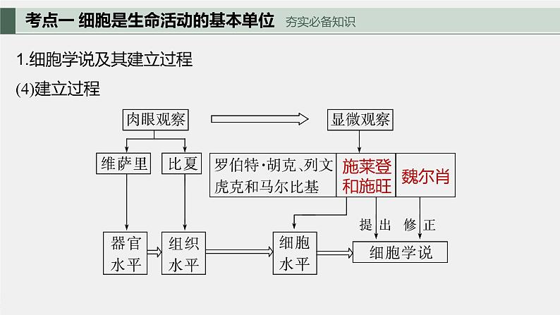 2024届高三一轮生物复习课件走近细胞第6页