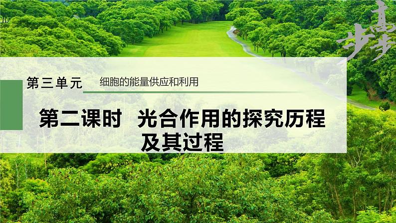 2024届高三一轮复习生物：光合作用的过程课件第1页