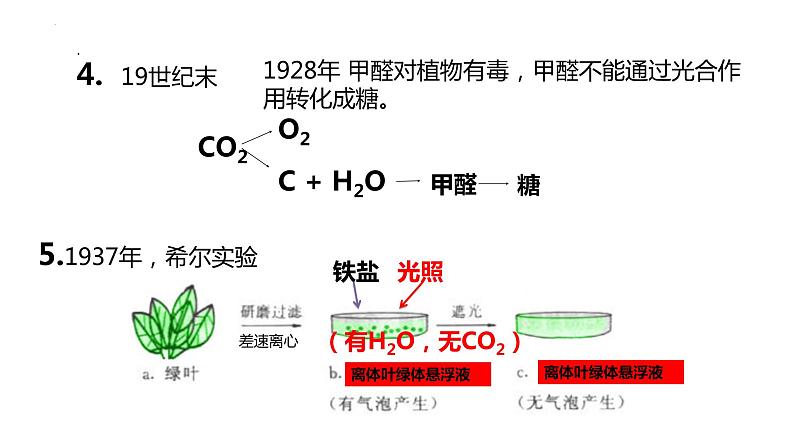 2024届高三一轮复习生物：光合作用的过程课件第6页