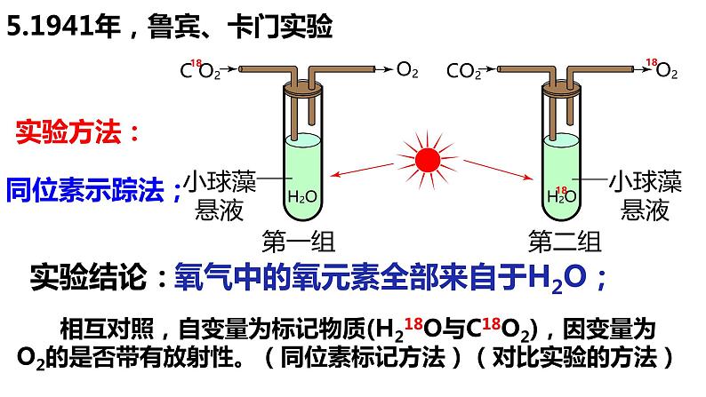 2024届高三一轮复习生物：光合作用的过程课件第8页