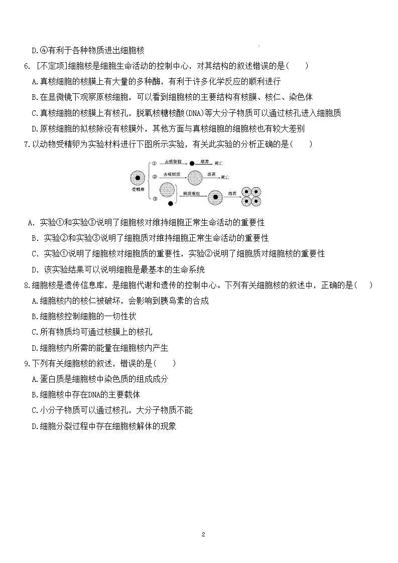 人教版2019必修一高中生物学3.3《细胞核的结构和功能》课件+同步分层练习02