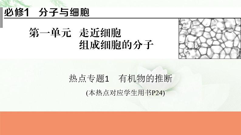 2024届高考生物一轮复习第一单元走近细胞组成细胞的分子热点专题1有机物的推断课件01