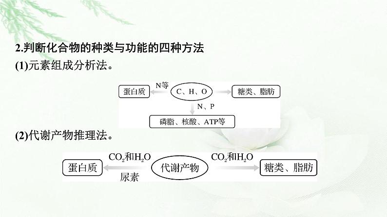 2024届高考生物一轮复习第一单元走近细胞组成细胞的分子热点专题1有机物的推断课件03