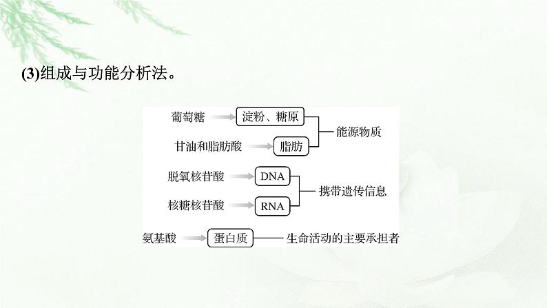 2024届高考生物一轮复习第一单元走近细胞组成细胞的分子热点专题1有机物的推断课件04