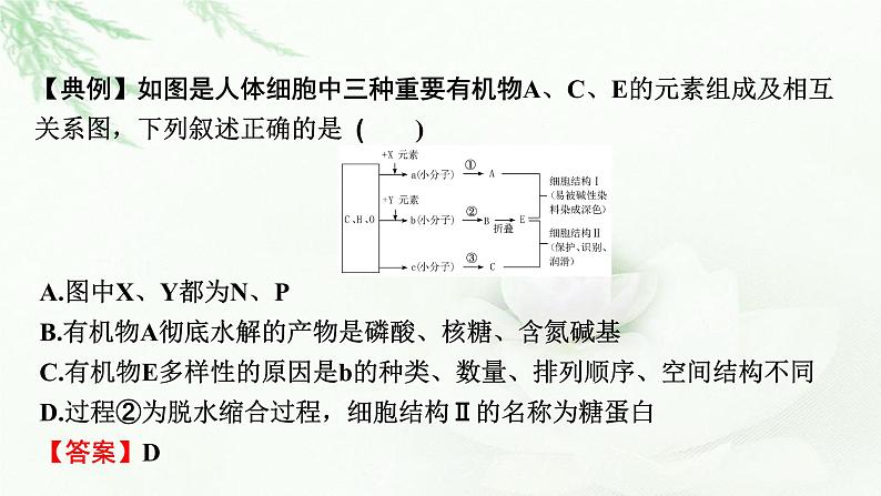 2024届高考生物一轮复习第一单元走近细胞组成细胞的分子热点专题1有机物的推断课件06