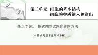 2024届高考生物一轮复习第二单元细胞的基本结构细胞的物质输入和输出热点专题3模式图类试题的解题方法课件