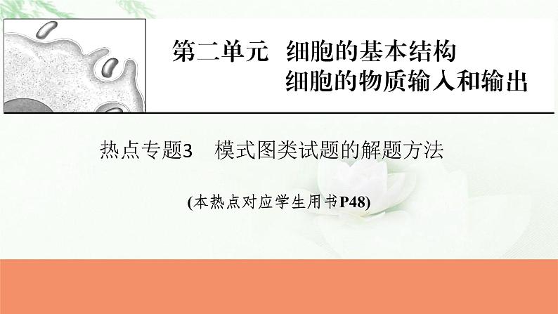 2024届高考生物一轮复习第二单元细胞的基本结构细胞的物质输入和输出热点专题3模式图类试题的解题方法课件第1页