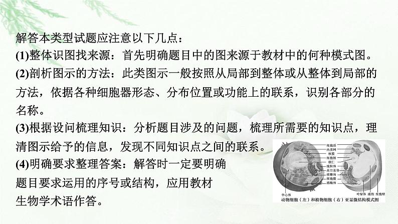 2024届高考生物一轮复习第二单元细胞的基本结构细胞的物质输入和输出热点专题3模式图类试题的解题方法课件第3页