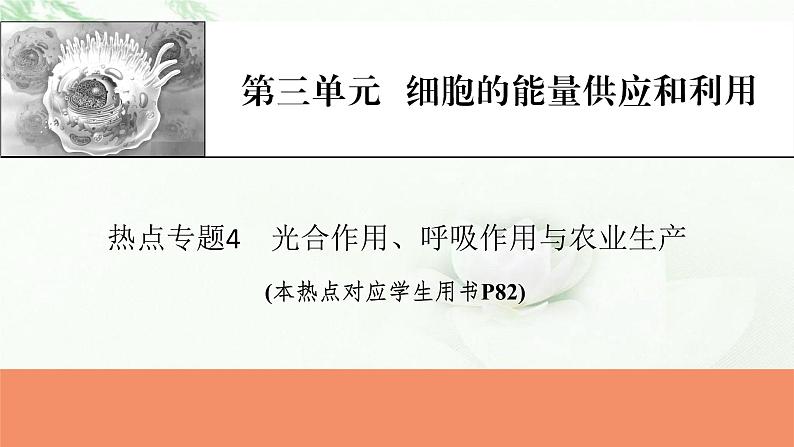 2024届高考生物一轮复习第三单元细胞的能量供应和作用热点专题4光合作用、呼吸作用与农业生产课件第1页