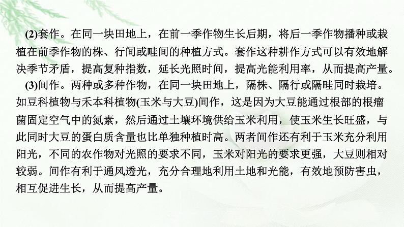 2024届高考生物一轮复习第三单元细胞的能量供应和作用热点专题4光合作用、呼吸作用与农业生产课件第3页