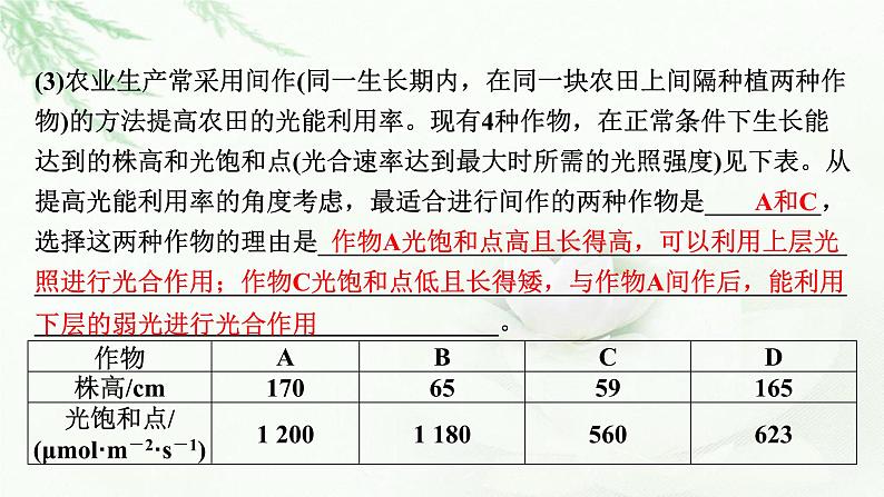 2024届高考生物一轮复习第三单元细胞的能量供应和作用热点专题4光合作用、呼吸作用与农业生产课件第6页