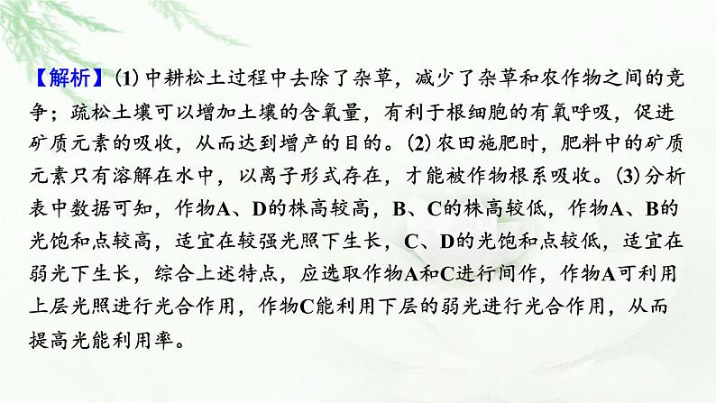 2024届高考生物一轮复习第三单元细胞的能量供应和作用热点专题4光合作用、呼吸作用与农业生产课件第7页